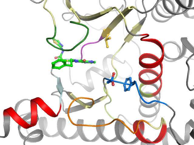 The orthosteric binding pocket