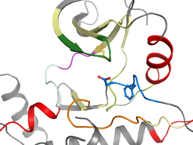 The orthosteric binding pocket