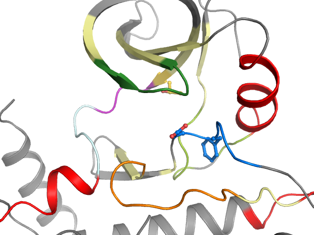 The orthosteric binding pocket