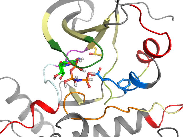 The orthosteric binding pocket
