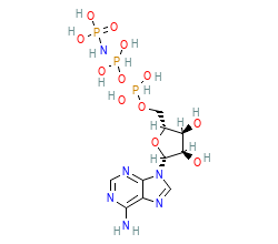 2D structure of the orthosteric ligand
