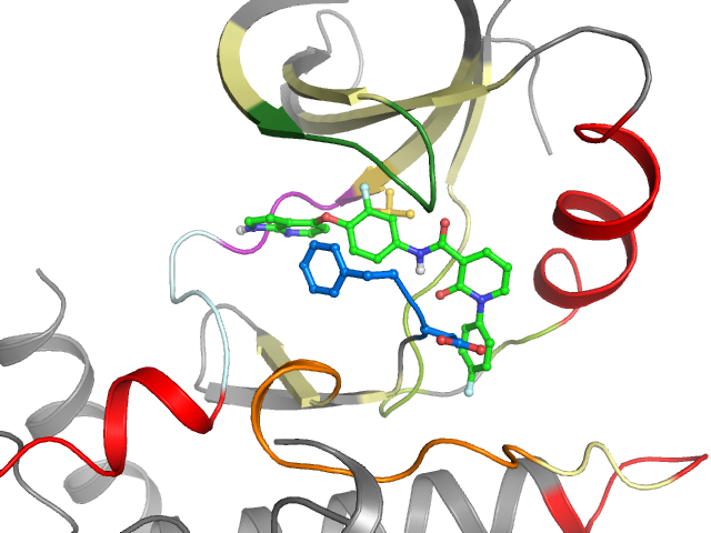 The orthosteric binding pocket