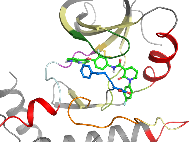 The orthosteric binding pocket