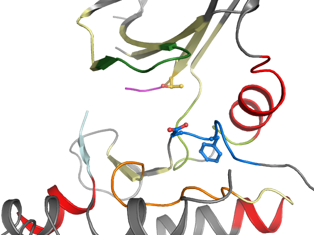 The orthosteric binding pocket