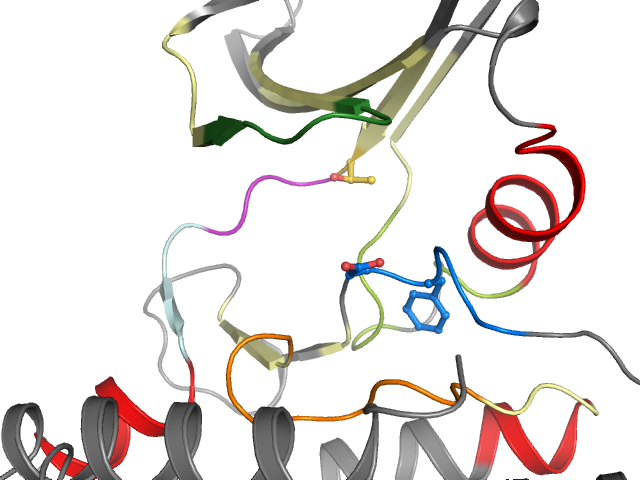 The orthosteric binding pocket