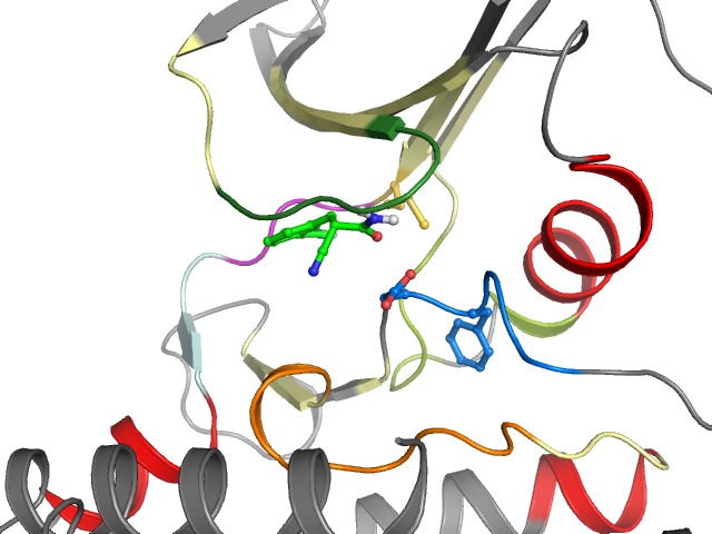 The orthosteric binding pocket