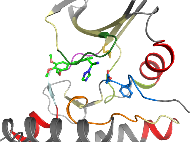 The orthosteric binding pocket