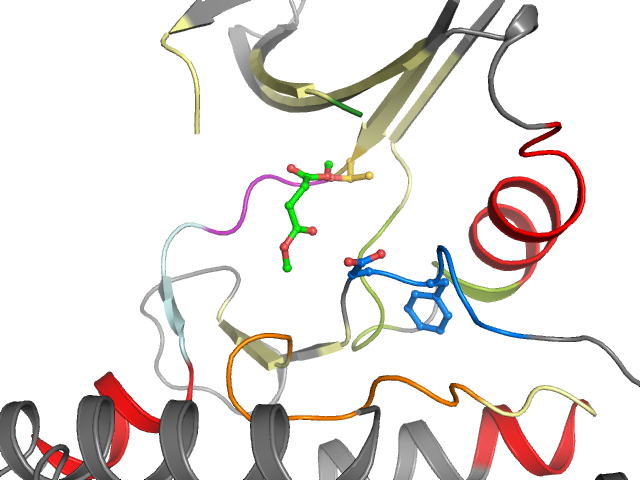The orthosteric binding pocket