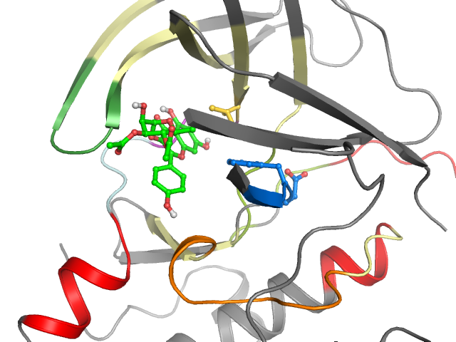 The orthosteric binding pocket