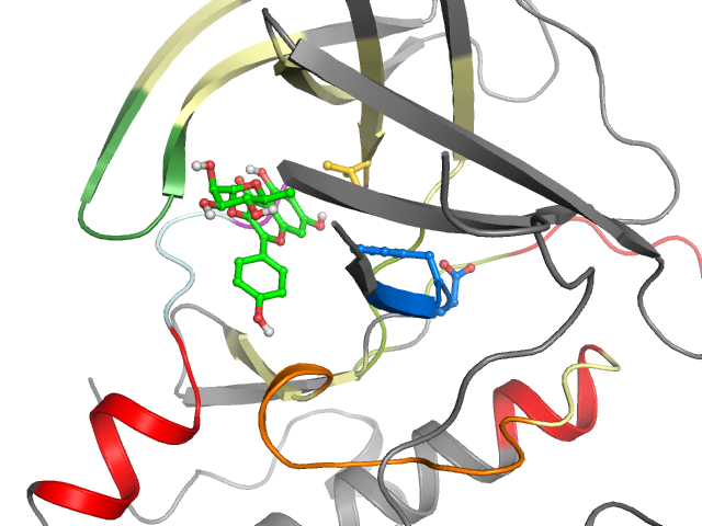 The orthosteric binding pocket