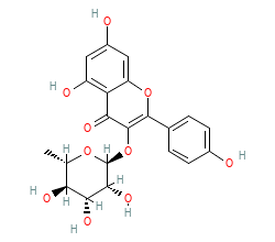 2D structure of the orthosteric ligand
