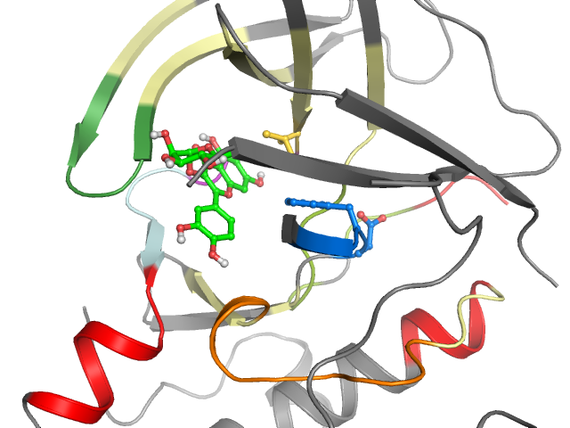 The orthosteric binding pocket