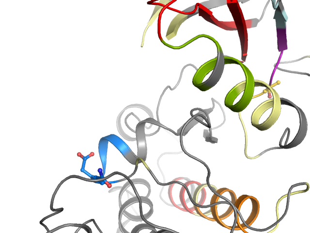 The orthosteric binding pocket