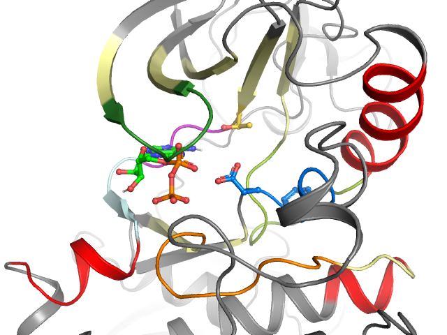 The orthosteric binding pocket