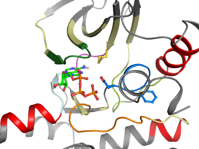 The orthosteric binding pocket