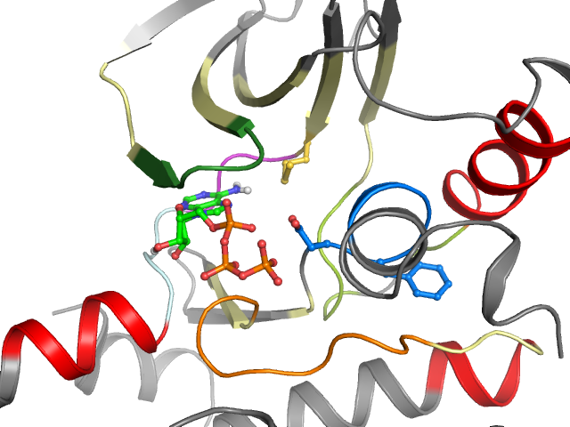 The orthosteric binding pocket