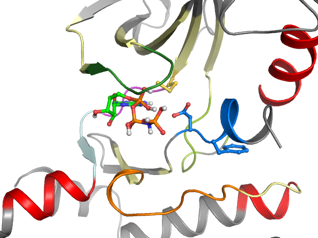 The orthosteric binding pocket