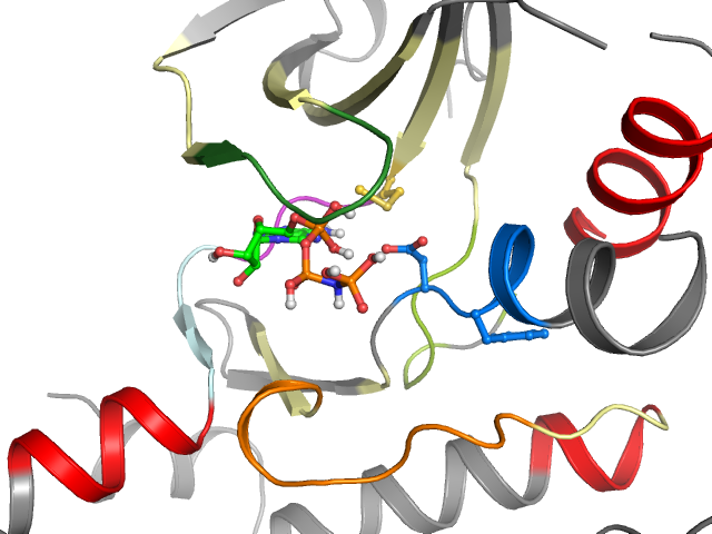 The orthosteric binding pocket