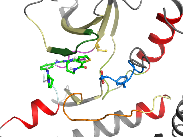 The orthosteric binding pocket