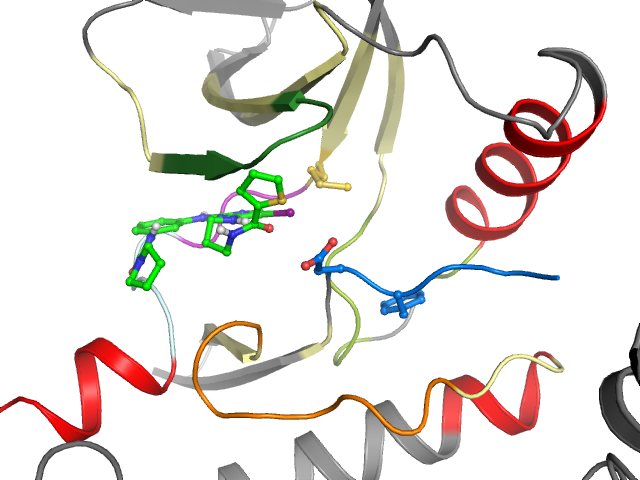 The orthosteric binding pocket