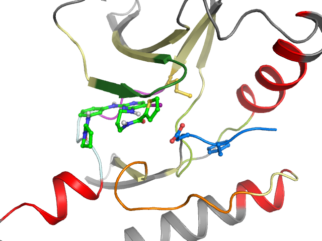 The orthosteric binding pocket