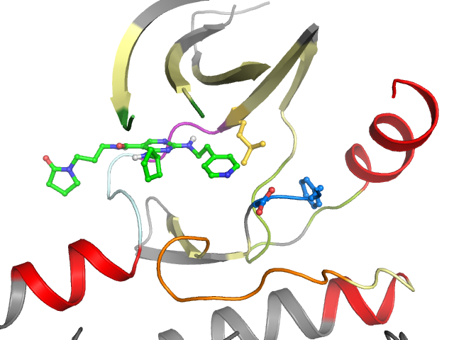 The orthosteric binding pocket