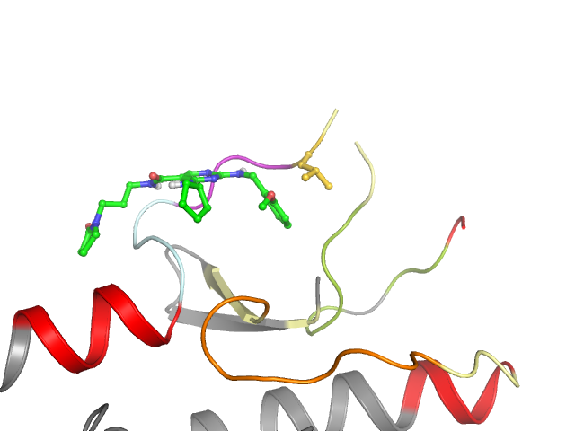 The orthosteric binding pocket