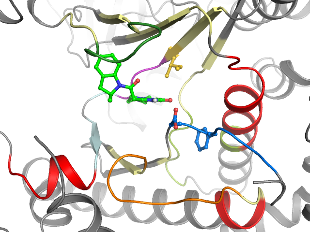 The orthosteric binding pocket