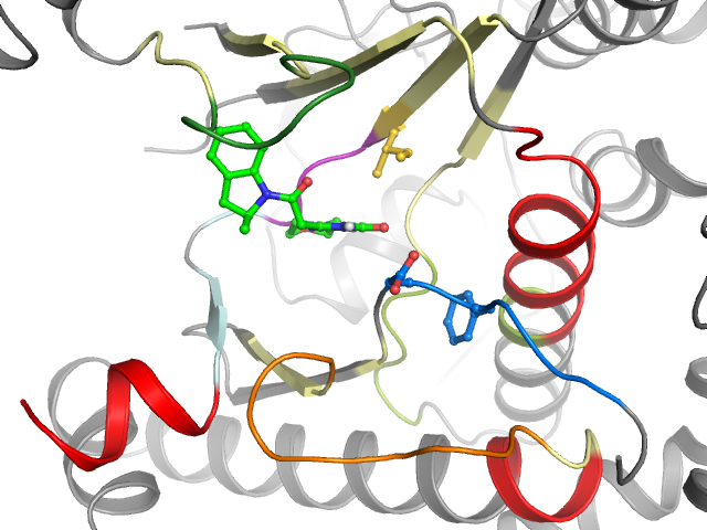 The orthosteric binding pocket