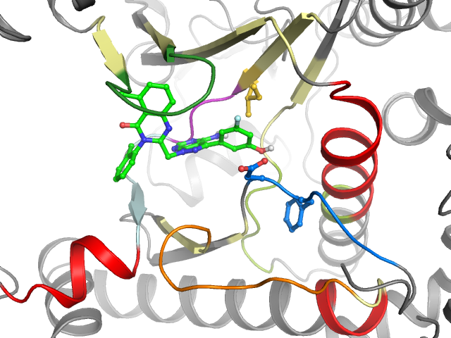The orthosteric binding pocket