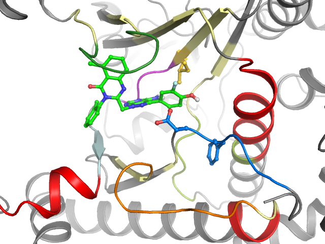 The orthosteric binding pocket