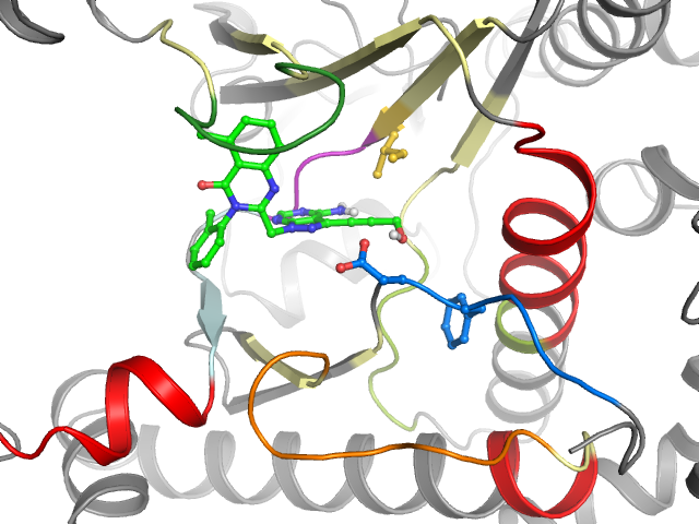 The orthosteric binding pocket