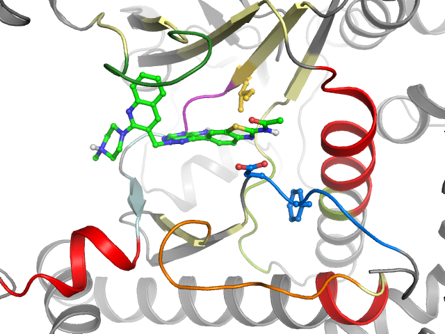 The orthosteric binding pocket