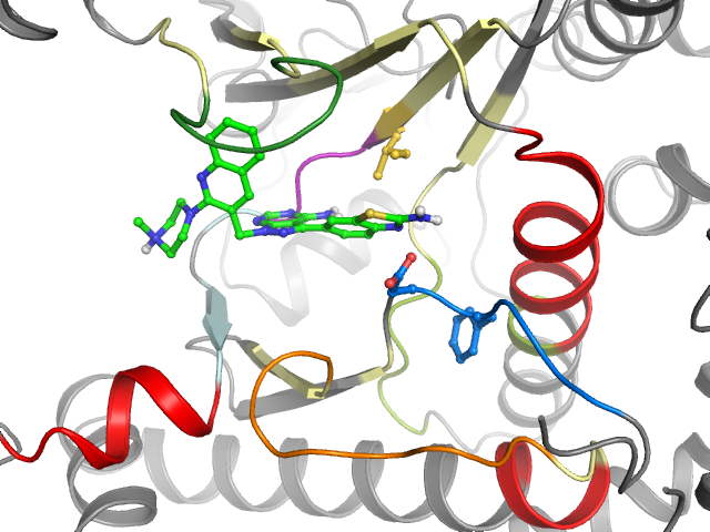 The orthosteric binding pocket