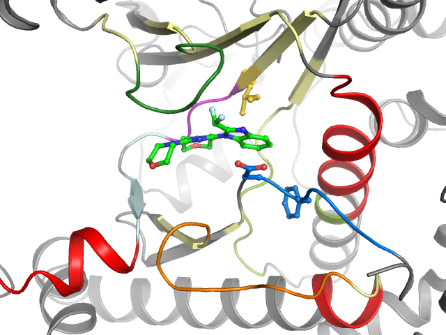 The orthosteric binding pocket