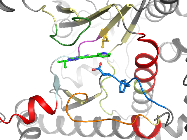 The orthosteric binding pocket