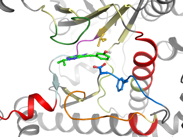The orthosteric binding pocket