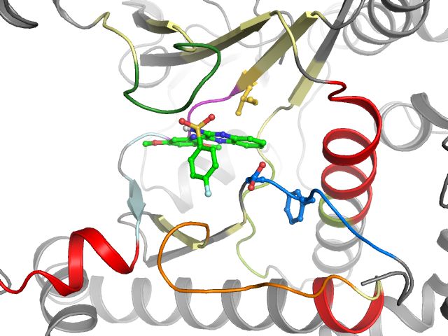 The orthosteric binding pocket
