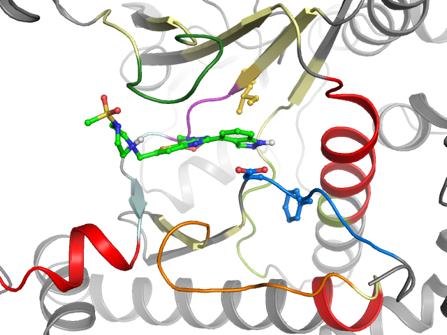 The orthosteric binding pocket