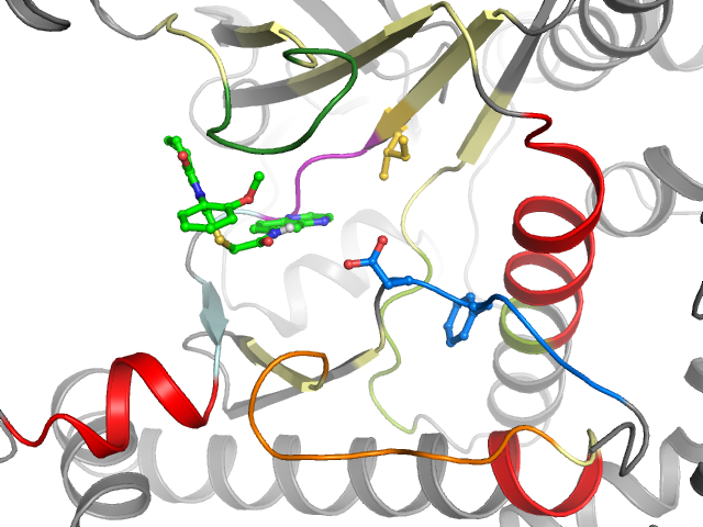 The orthosteric binding pocket