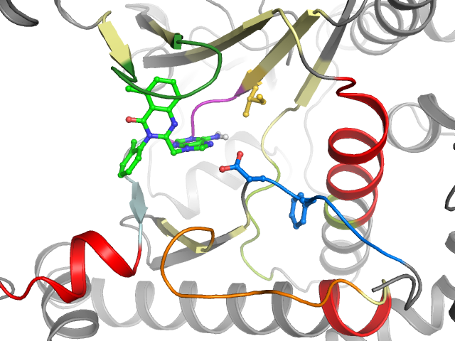 The orthosteric binding pocket