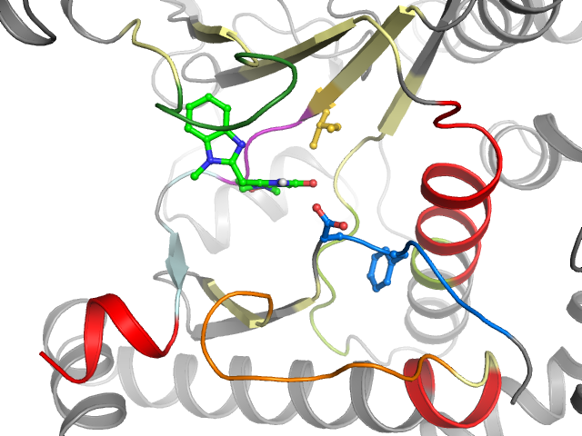 The orthosteric binding pocket