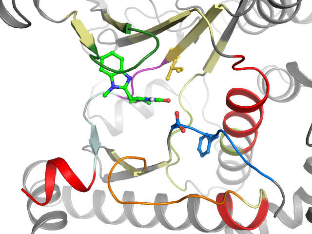 The orthosteric binding pocket