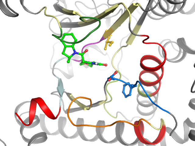 The orthosteric binding pocket