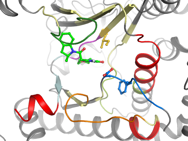 The orthosteric binding pocket