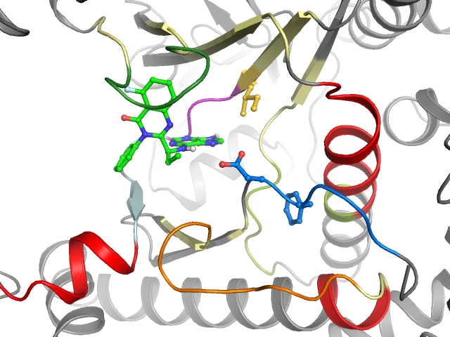 The orthosteric binding pocket