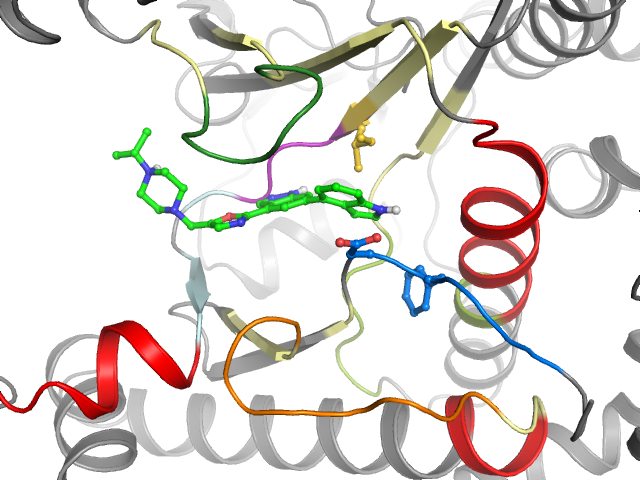 The orthosteric binding pocket