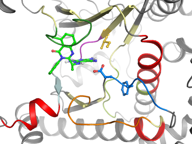 The orthosteric binding pocket