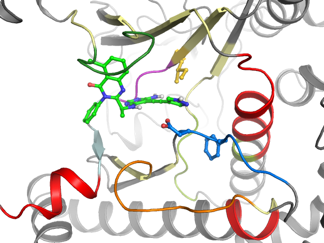 The orthosteric binding pocket