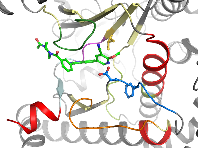 The orthosteric binding pocket